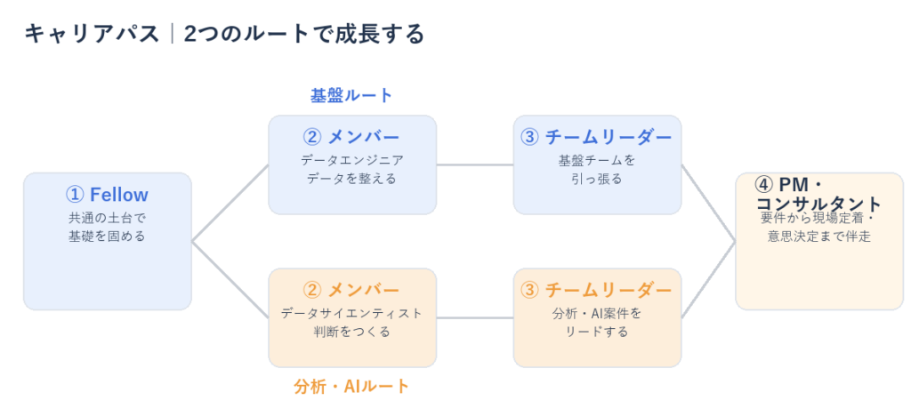 【株式会社SaR】未経験からデータエンジニア・データサイエンティストへ｜採用と2か月研修